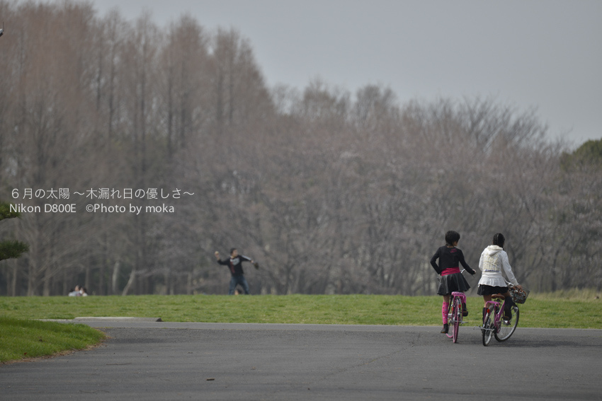 20130320_mizumoto-park12