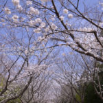 ［6］風が止んだ瞬間に、、