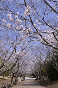 ［6］風が止んだ瞬間に、、