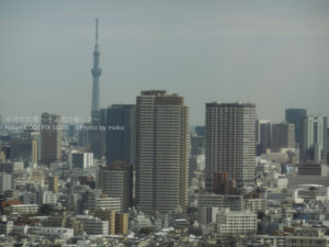 ［6］見晴らしの良い風景とも、しばしお別れ・・