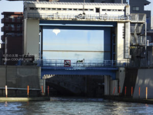 ［6］隅田川の流れを見守る水門と、見下ろすスカイツリー