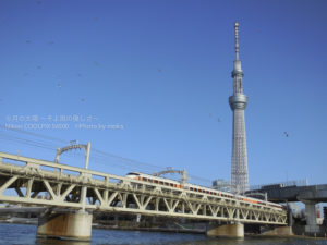 ［6］隅田川から望む、スペーシアと東京スカイツリー
