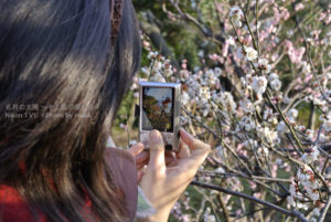 ［6］撮る人を撮る。デジカメの液晶画面を狙う！？