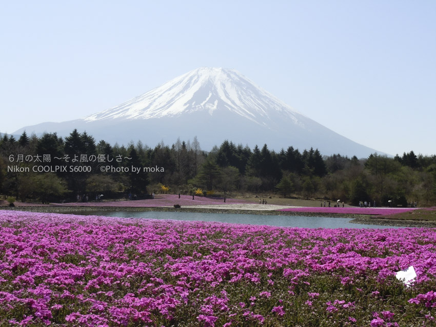 20120429_Mt.Fuji17