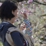 ［6］2014年春、優しい手に抱かれて。