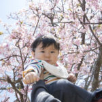 ［6］満開の寒桜と子供の笑顔に癒やされて