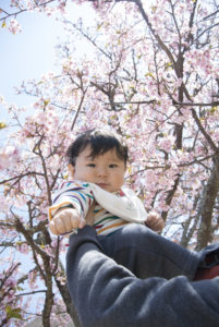 ［6］満開の寒桜と子供の笑顔に癒やされて