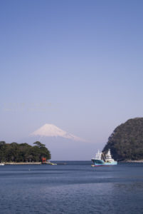 ［6］西伊豆で見る、浮き富士の姿に魅せられて！