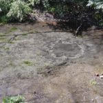 ［6］柿田川湧水群の湧き水に触れる