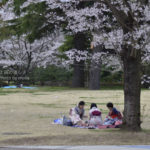 ［6］純和風の春の過ごし方！？