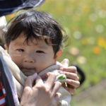 ［6］満開のチューリップもポピーも、眠い僕にとっては花より男子・・