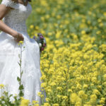 ［6］黄色い絨毯の上の純白のドレス