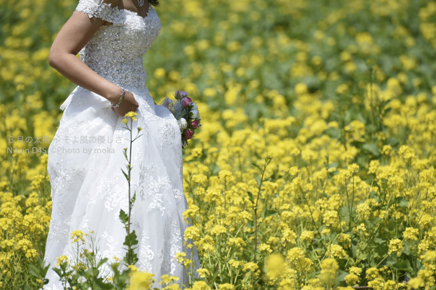 ［6］黄色い絨毯の上の純白のドレス