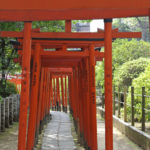 ［6］根津神社の鳥居のトンネルを潜る