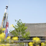 ［6］面白そうに泳いでる~