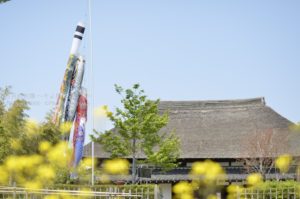 ［6］面白そうに泳いでる~