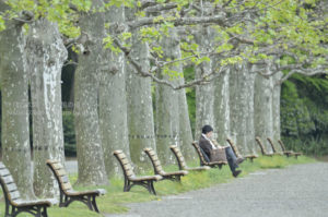 ［6］日曜日の午後の過ごし方！！