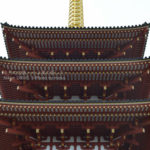 ［6］高幡不動尊の五重塔を見上げて