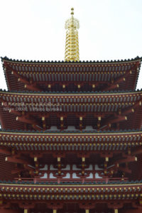 ［6］高幡不動尊の五重塔を見上げて