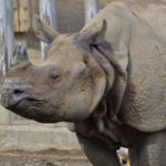 ［6］見かけは怖いけど、心は優しい！？