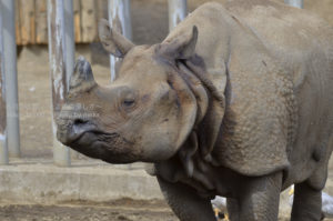 ［6］見かけは怖いけど、心は優しい！？