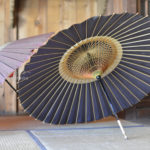 ［6］カメラを持って東京たてもの園に行くと、本当に楽しいですね ♪