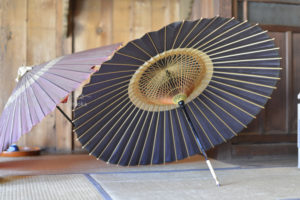 ［6］カメラを持って東京たてもの園に行くと、本当に楽しいですね ♪