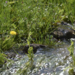 ［6］春の日差しを全身に受けて