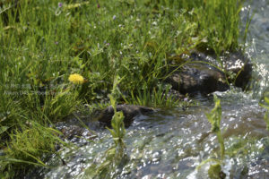 ［6］春の日差しを全身に受けて