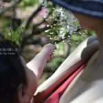 ［6］毎日が思いで作り。