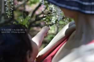 ［6］毎日が思いで作り。