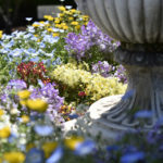 ［6］フラワーパークの名前に偽りはありません！！