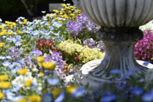 ［6］フラワーパークの名前に偽りはありません！！