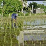 ［6］田植えの季節、豊作の願いを込めて！