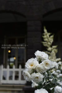 ［6］旧古河庭園で春バラと洋館のコラボレーションを撮影