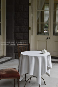 ［6］薔薇を眺めながら午後の紅茶タイム