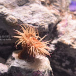 ［6］水の流れに身を任せ。ゆ～らゆら。。