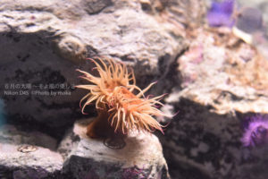 ［6］水の流れに身を任せ。ゆ～らゆら。。