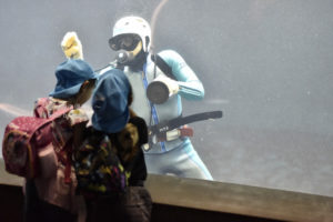 ［6］初夏のお出かけには水族館がいい！？