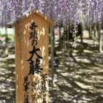 ［6］2014年のゴールデンウィークは・・・