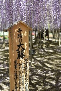 ［6］2014年のゴールデンウィークは・・・