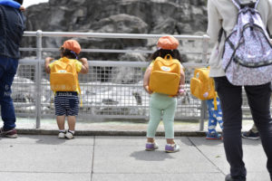 ［6］ペンギンと一緒に、ヨチヨチ歩き！