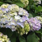 ［6］何気ない日常の観察力アップ！？