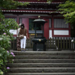 ［6］本土寺で満開の紫陽花を横目に参拝