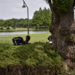 ［6］公園の大きな木の下で、