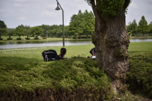 ［6］公園の大きな木の下で、