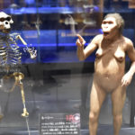 ［6］猿から人へ、人類の進化