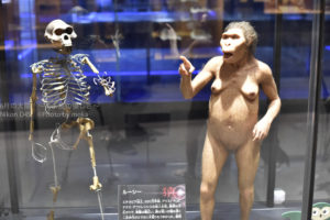 ［6］猿から人へ、人類の進化