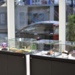 ニコンD810のサンプル画像を入手！D800Eの写真と比較してみた