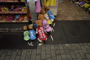 ［6］お土産に最適、オリジナルＴシャツ